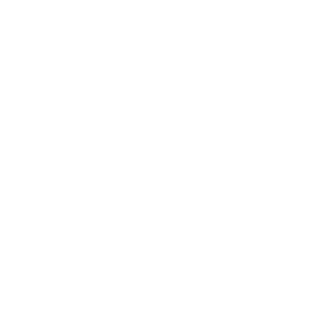 GoMobileX is honored to be an ASE-certified business.